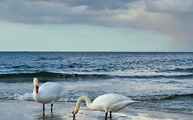 Kleine FeWo in Heringsdorf auf der Insel Usedom